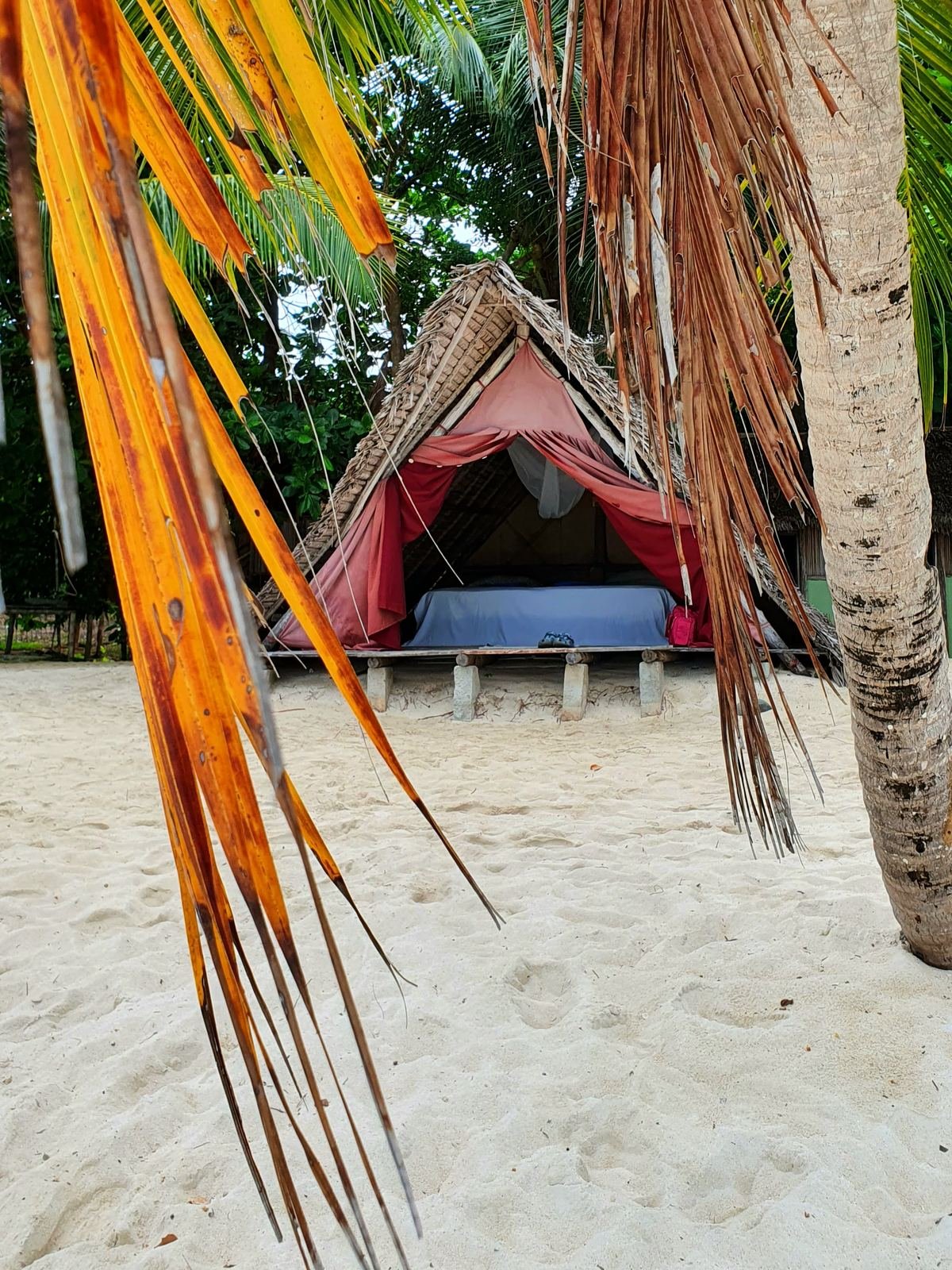 Camping