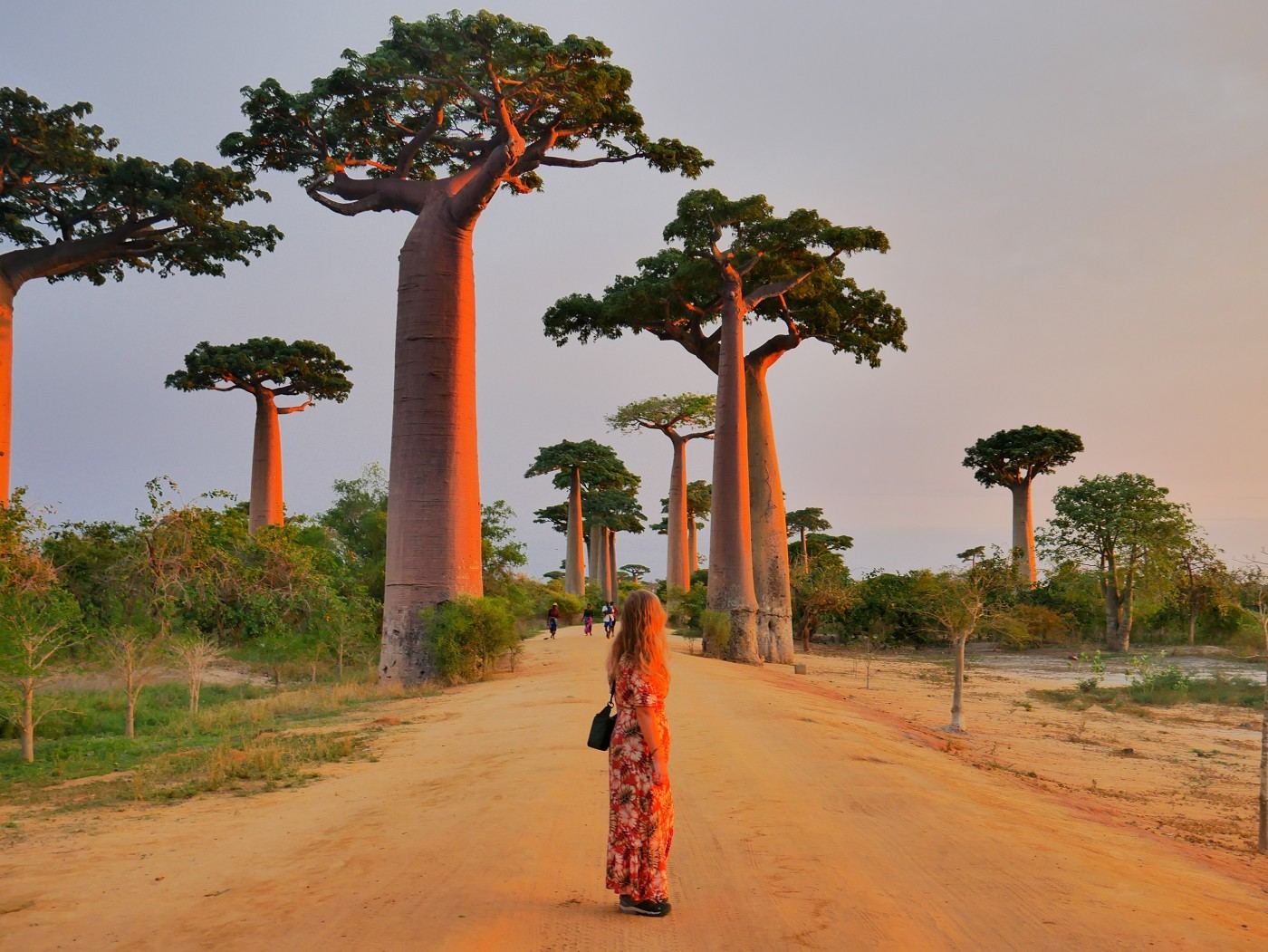 Baobab