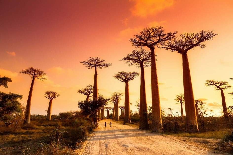 Sud de Madagascar